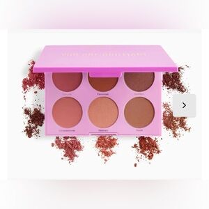 Realher You Are Brilliant Blush Palette | 6 Blush Colors | Brand New